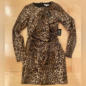 Express X Karla Leopard Print Long Sleeve Dress 2